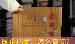 国企档案是怎么查询？