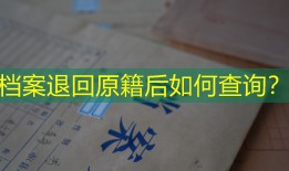 档案退回原籍后如何查询？