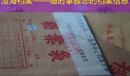 澄海档案——随时掌握您的档案信息