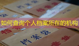 如何查询个人档案所在的机构