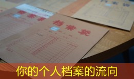 你的个人档案的流向
