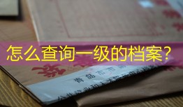 怎么查询一级的档案？