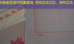 安徽省芜湖市档案查询_寻找历史记忆，探究过去