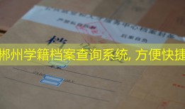 郴州学籍档案查询系统, 方便快捷