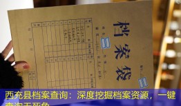 西充县档案查询：深度挖掘档案资源，一键查询无死角