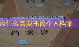 为什么需要托管个人档案