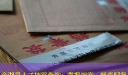 金湖县人才档案查询：掌握档案，畅享服务