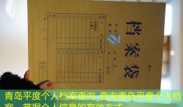青岛平度个人档案查询_查询青岛平度个人档案，掌握个人信息的有效方式