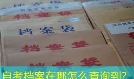 自考档案在哪怎么查询到？