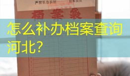 怎么补办档案查询河北？