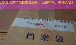 武宁县人才市场档案查询网：无需排队，办事无忧！