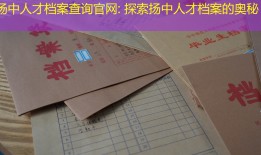 扬中人才档案查询官网: 探索扬中人才档案的奥秘