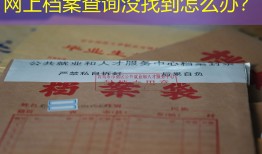 网上档案查询没找到怎么办？