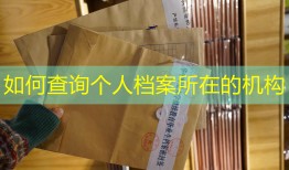 如何查询个人档案所在的机构
