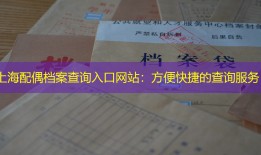 上海配偶档案查询入口网站：方便快捷的查询服务