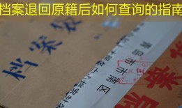 档案退回原籍后如何查询的指南