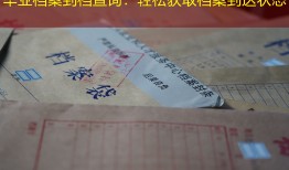 毕业档案到档查询：轻松获取档案到达状态