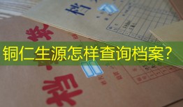 铜仁生源怎样查询档案？