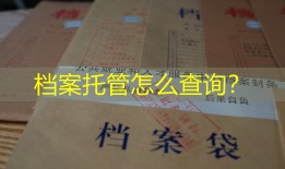 档案托管怎么查询？