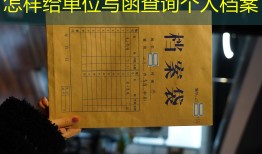 怎样给单位写函查询个人档案