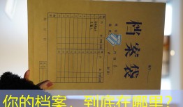 你的档案，到底在哪里？