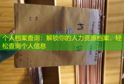 个人档案查询：解锁你的人力资源档案，轻松查询个人信息