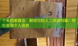 个人档案查询：解锁你的人力资源档案，轻松查询个人信息
