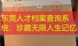 东莞人才档案查询系统：珍藏无限人生记忆