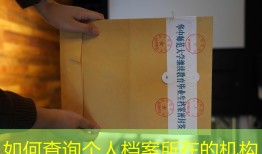 如何查询个人档案所在的机构
