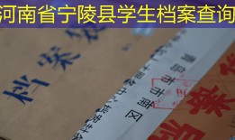 河南省宁陵县学生档案查询