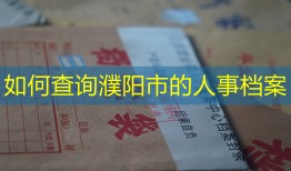 如何查询濮阳市的人事档案