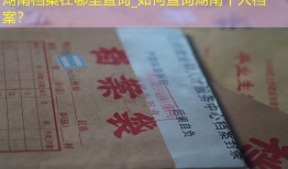 湖南档案在哪里查询_如何查询湖南个人档案？