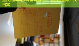 重庆档案人才网官网查询：托管和查询个人档案