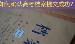 如何确认高考档案提交成功？