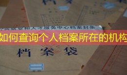 如何查询个人档案所在的机构