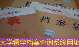大学辍学档案查询系统网址