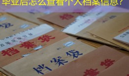 毕业后怎么查看个人档案信息？