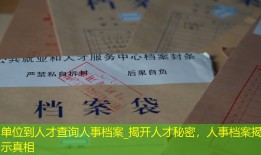 单位到人才查询人事档案_揭开人才秘密，人事档案揭示真相