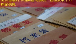 山东省临沂市档案查询系统：轻松获取个人档案信息