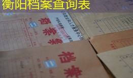 衡阳档案查询表