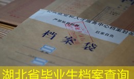 湖北省毕业生档案查询