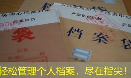 轻松管理个人档案，尽在指尖！