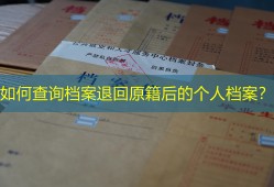 如何查询档案退回原籍后的个人档案？