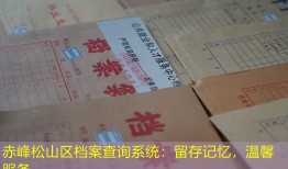 赤峰松山区档案查询系统：留存记忆，温馨服务