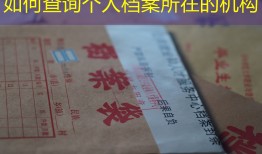 如何查询个人档案所在的机构
