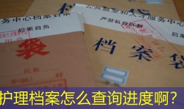 护理档案怎么查询进度啊？