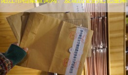 阳江市档案查询网：发现历史的记忆宝库