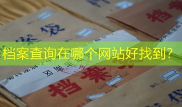 档案查询在哪个网站好找到？