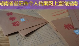 湖南省益阳市个人档案网上查询指南
