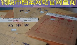 铜陵市档案网站官网查询
